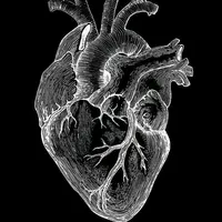 original sound - miraliyev_lyrics