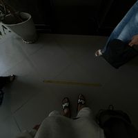 เสียงต้นฉบับ - ผักบุ้งไฟเขียว