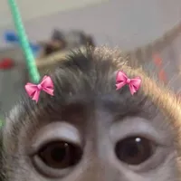 original sound - hx_gm22