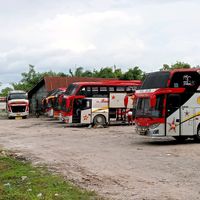 tama.pratama.73