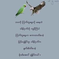 lin.lin44252