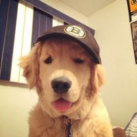 เสียงต้นฉบับ - heng___259