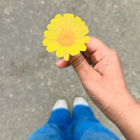 gaya_tri_5