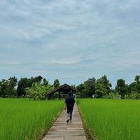 phatt_chara