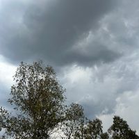 tuorgullonomequierehabla