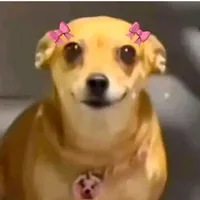 original sound - mxsxc00