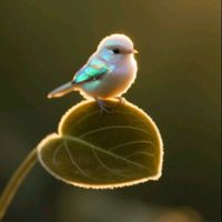 الصوت الأصلي