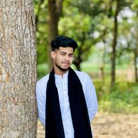 fardin_v2