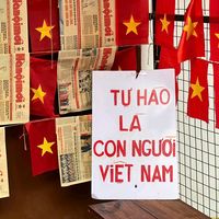 nhạc nền - TDT Music  🎧