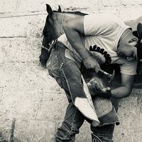 elperico432