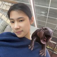 the.jerryjing