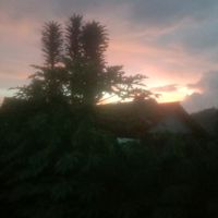 suara asli