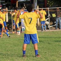 daf_bicho7