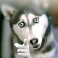 original sound - Mav