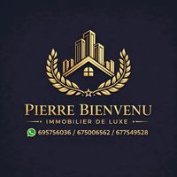 pierrebienvenuimmobilier
