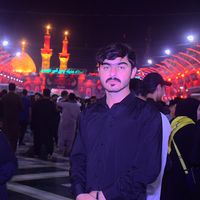 mudassirmehdi498