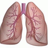 เสียงต้นฉบับ - ด้อม อาม ชุติมา ชูตี้ 3