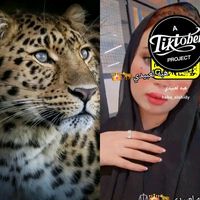 heba_alobidy