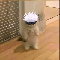 taesiri0