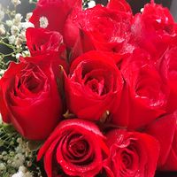 raselkhan2297