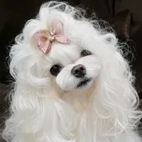 А ЭТО ТАМ ЧТО Маша и Медведь