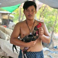 ratchanon0010