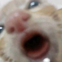 apagate00