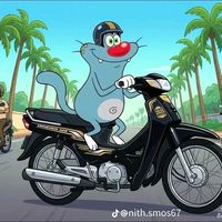 .ocay8
