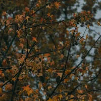 original sound - m.u.s.i.c054