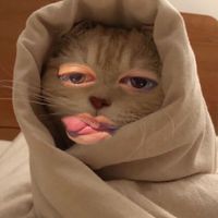 original sound - smthudonno