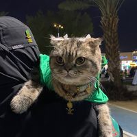 الصوت الأصلي