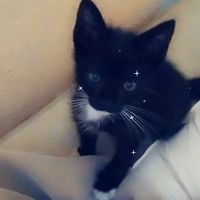 user3222370117