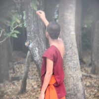 tsang_123208