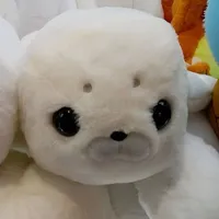 original sound - xiao855_