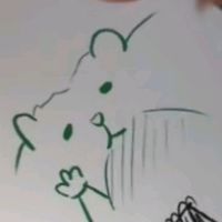leume_502
