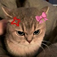 original sound - 【 VRX vrsi 7 】// Řõbiñ