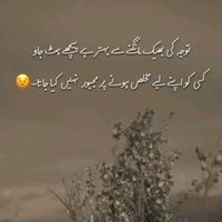 malikjanu719
