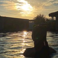 ellen.golberg.version