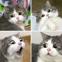 kkhwan_04