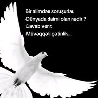 orijinal ses