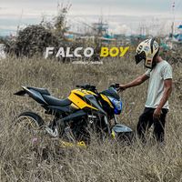 vihaga_desilva