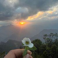 rumitap