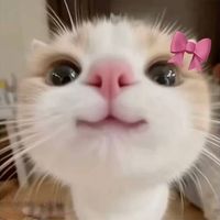 original sound - 🐰| juliana