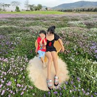 payu__0809
