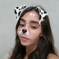 isah_fer41