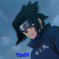 yadi2xx