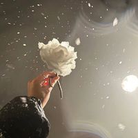 الصوت الأصلي