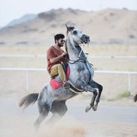 الصوت الأصلي
