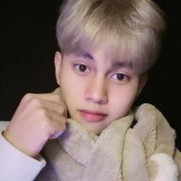 _h.v.wan_