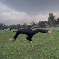 numankiflips